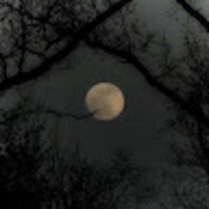 Meet your Posher, Dianna